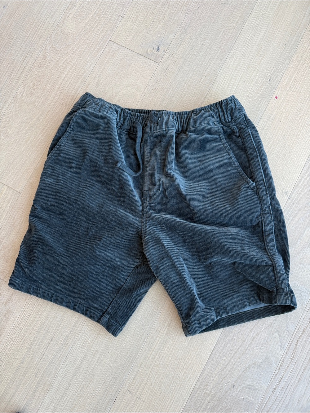 Katin Cord Local Shorts in Dark Blue